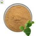 Natural Cactus Extract/Opuntia Extract/Cholla Stem Extract